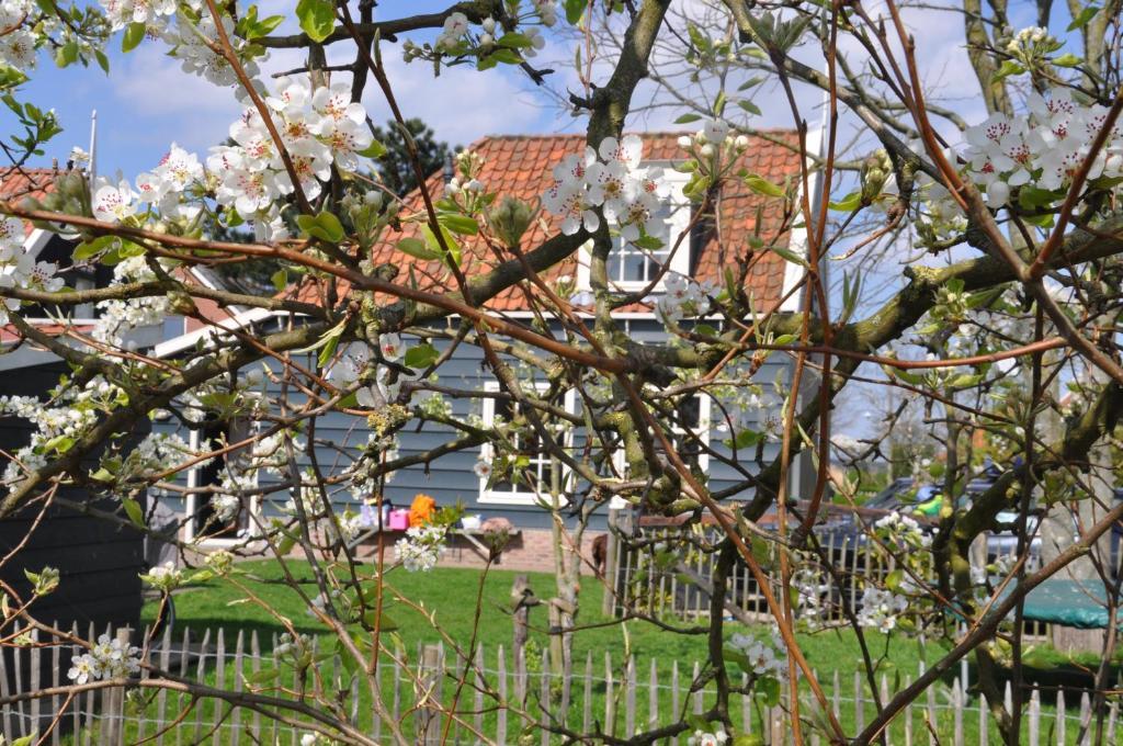 Guesthouse Boom Watergang Eksteriør bilde